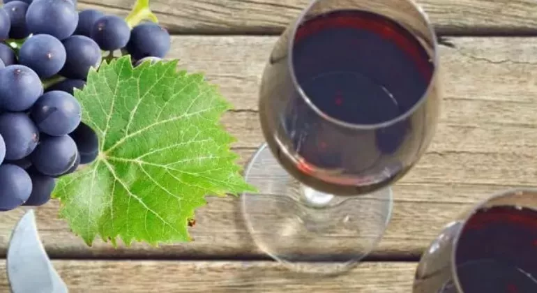 Вино Ізабелла: Секрети приготування власного ароматного напою