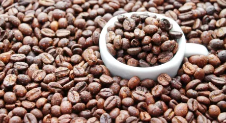 Кава в зернах для кавової машини - найсмачніші сорти від Kulturrra Coffee