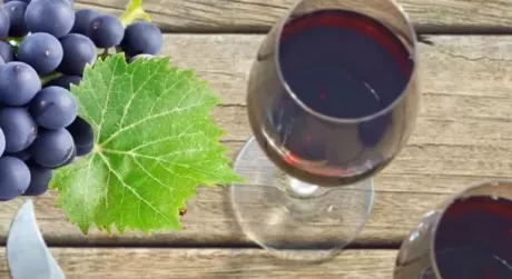 Вино Ізабелла: Секрети приготування власного ароматного напою